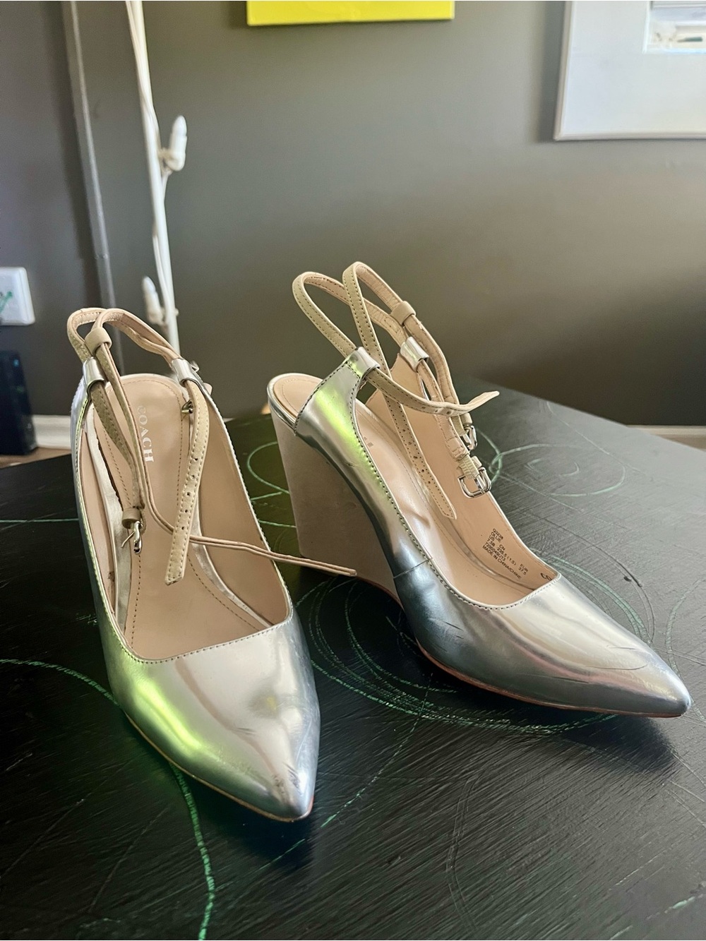 Coach Iridescent Silver Pointed-Toe Slingback Wedges